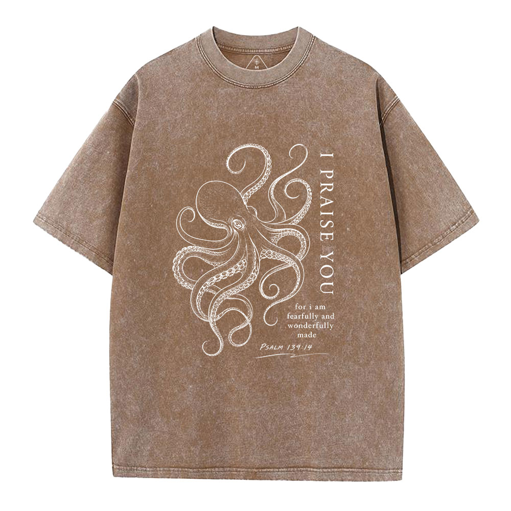 I Praise You Christian Washed T-Shirt