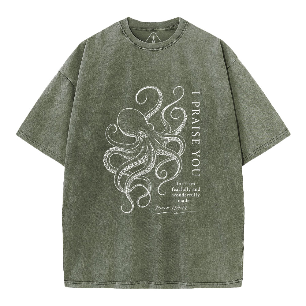 I Praise You Christian Washed T-Shirt