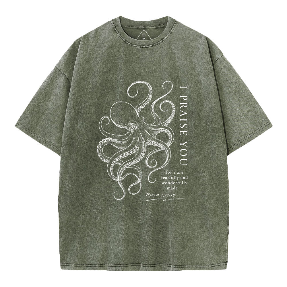 I Praise You Christian Washed T-Shirt