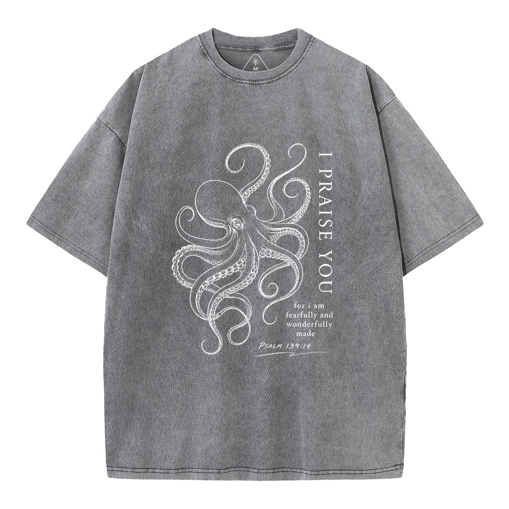 I Praise You Christian Washed T-Shirt
