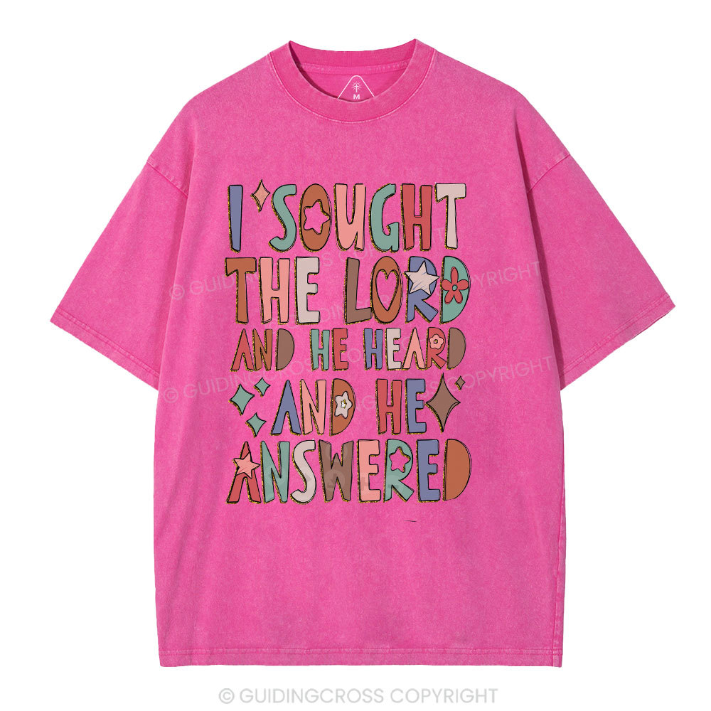 I Sought The Lord Christian Washed T-Shirt