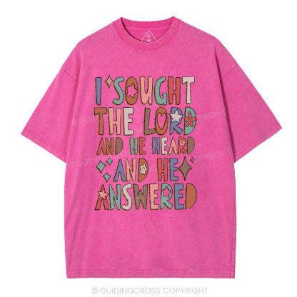 I Sought The Lord Christian Washed T-Shirt