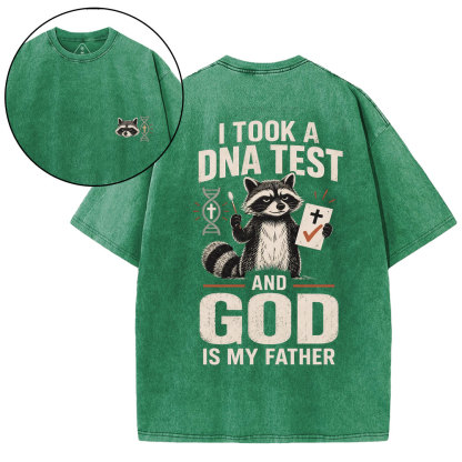 I Took A DNA Test And God Is My Father Christian Washed T-Shirt