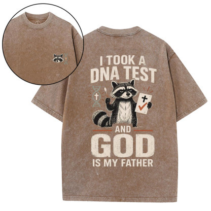 I Took A DNA Test And God Is My Father Christian Washed T-Shirt