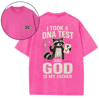 I Took A DNA Test And God Is My Father Christian Washed T-Shirt