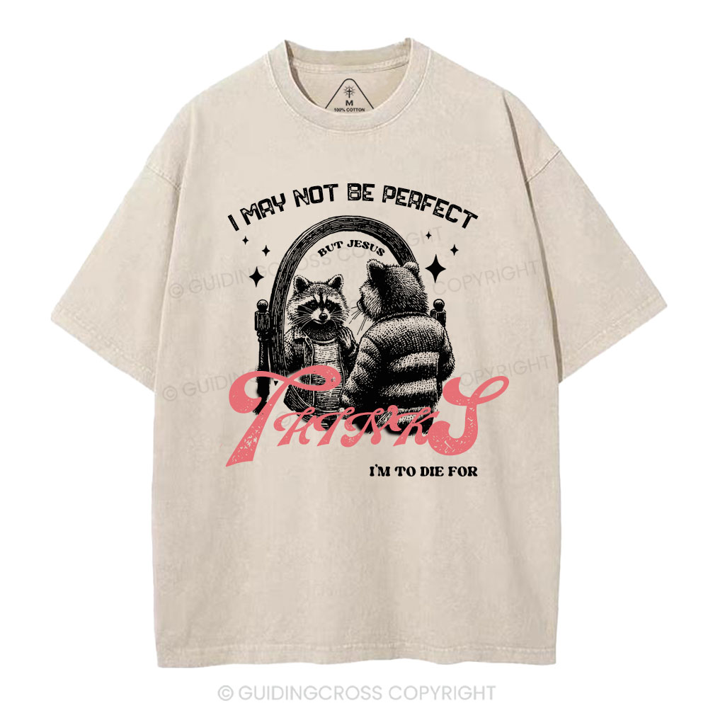 I may not be perfect Christian Washed T-Shirt