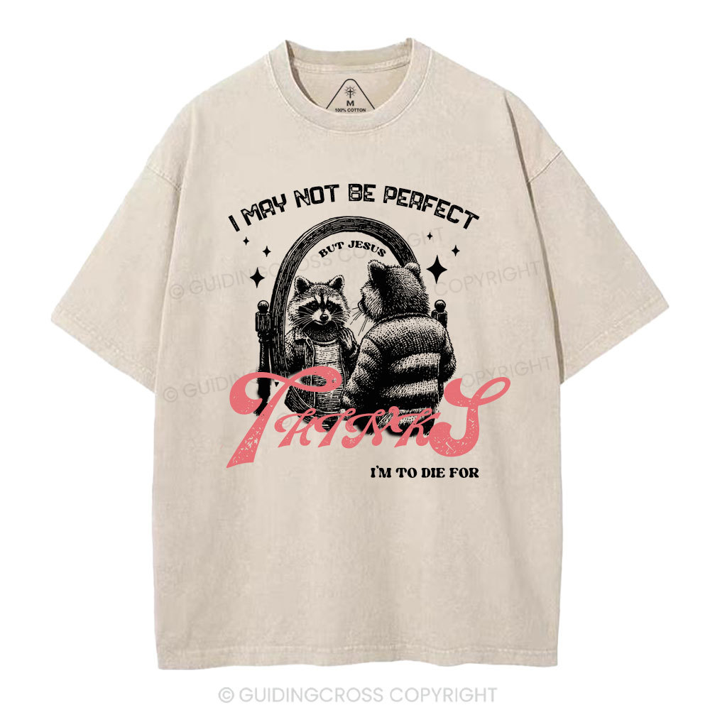 I may not be perfect Christian Washed T-Shirt