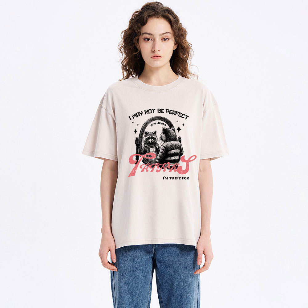 I may not be perfect Christian Washed T-Shirt