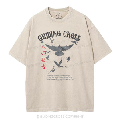 I saw the Spirit come down  Christian Washed T-Shirt