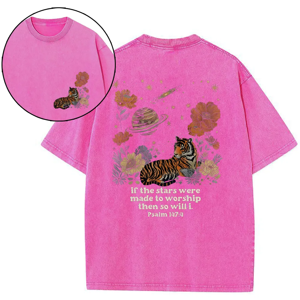 If The Stars Were Made To Worship Christian Washed T-Shirt