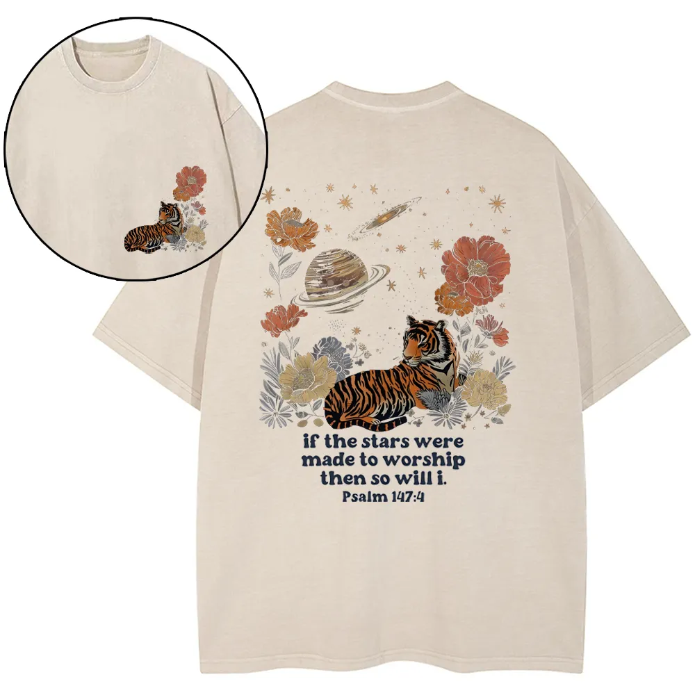 If The Stars Were Made To Worship Christian Washed T-Shirt