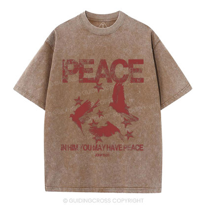In Him You May Have Peace Christian Washed T-Shirt