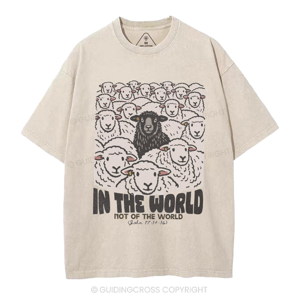 In The World Not Of The World Christian Washed T-Shirt