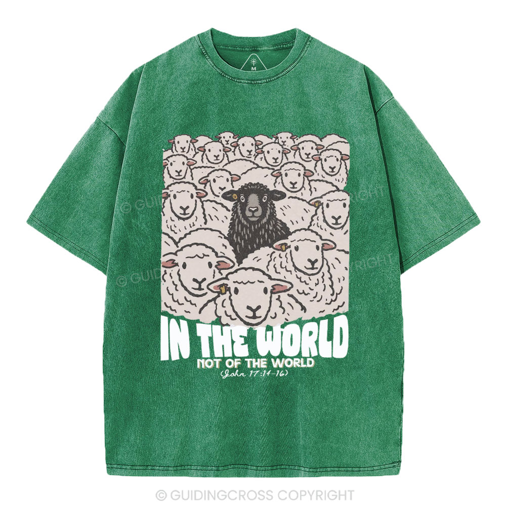 In The World Not Of The World Christian Washed T-Shirt
