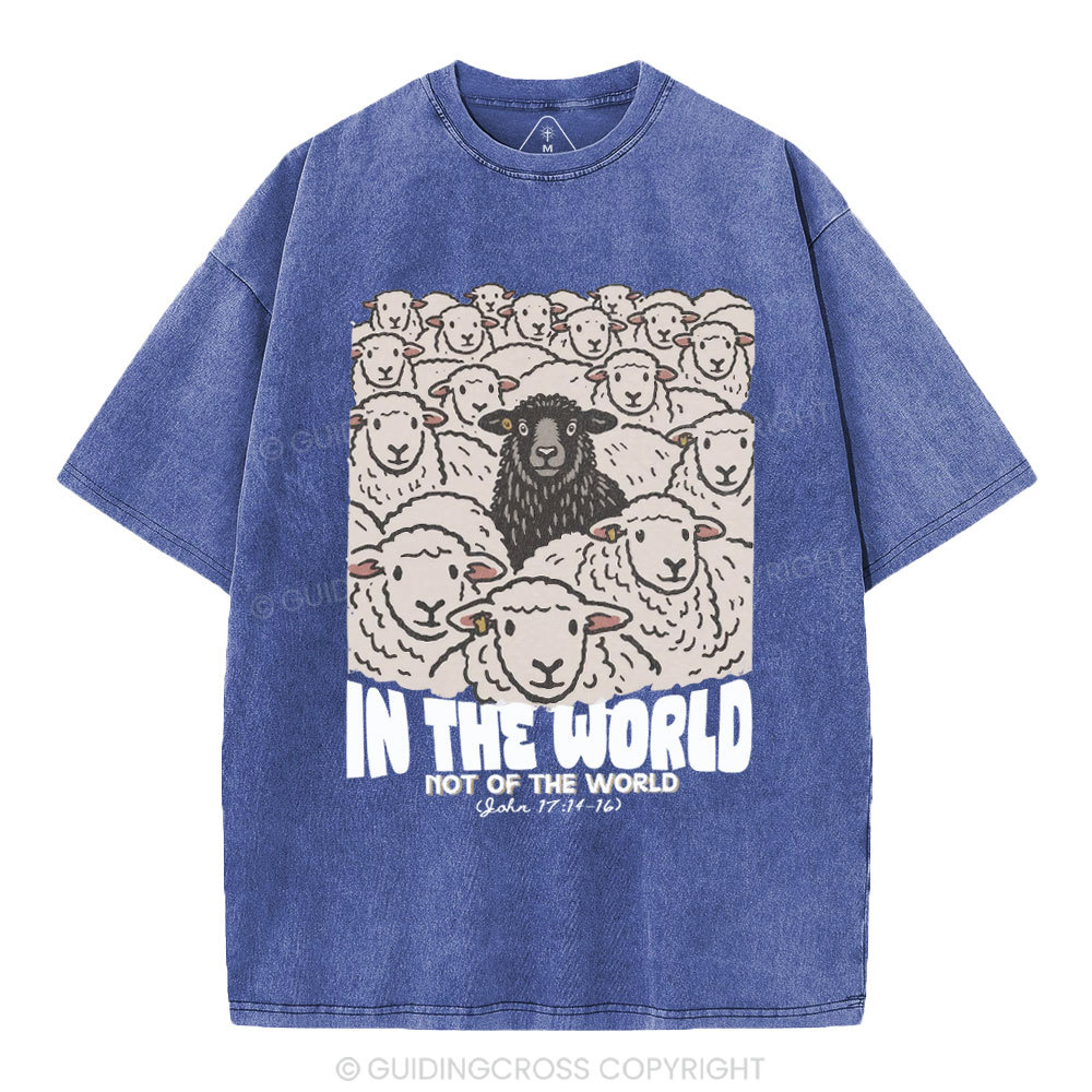 In The World Not Of The World Christian Washed T-Shirt
