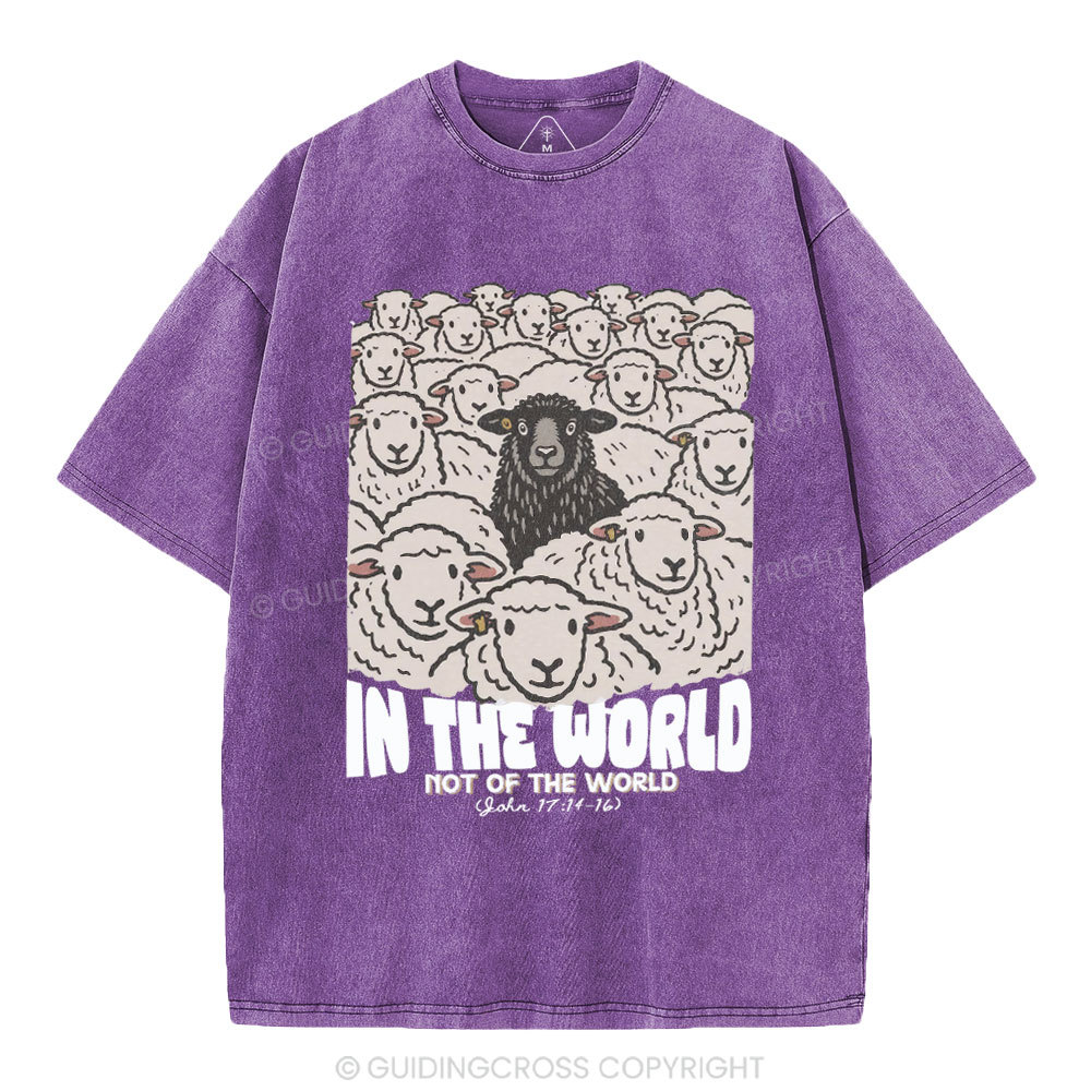 In The World Not Of The World Christian Washed T-Shirt