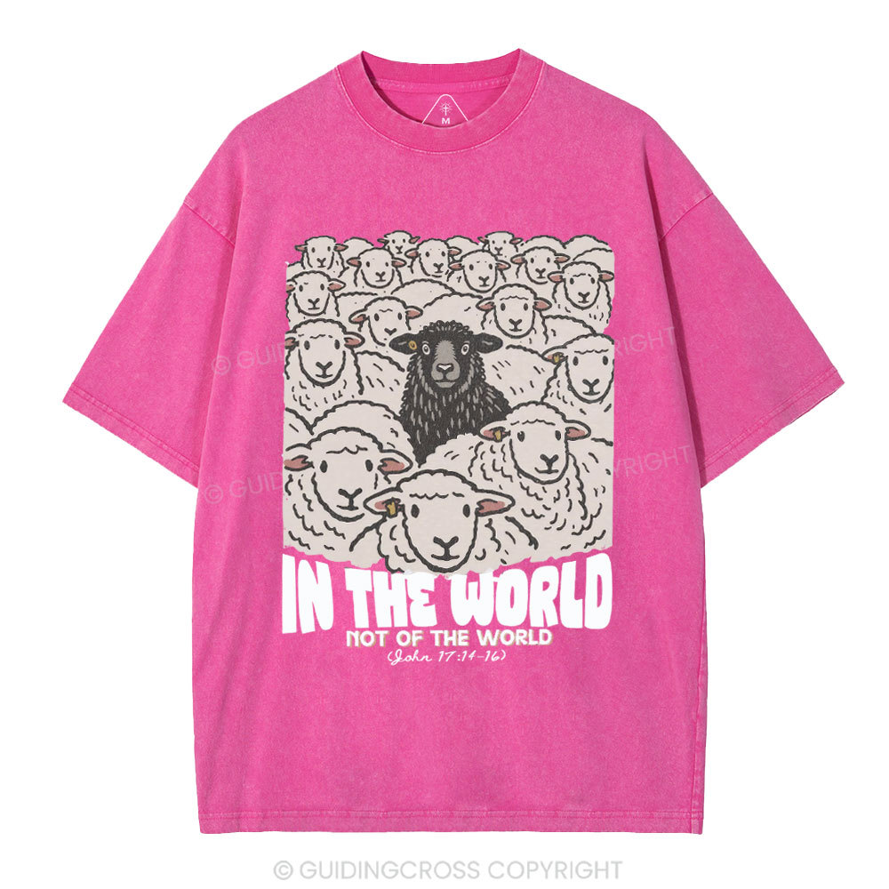 In The World Not Of The World Christian Washed T-Shirt