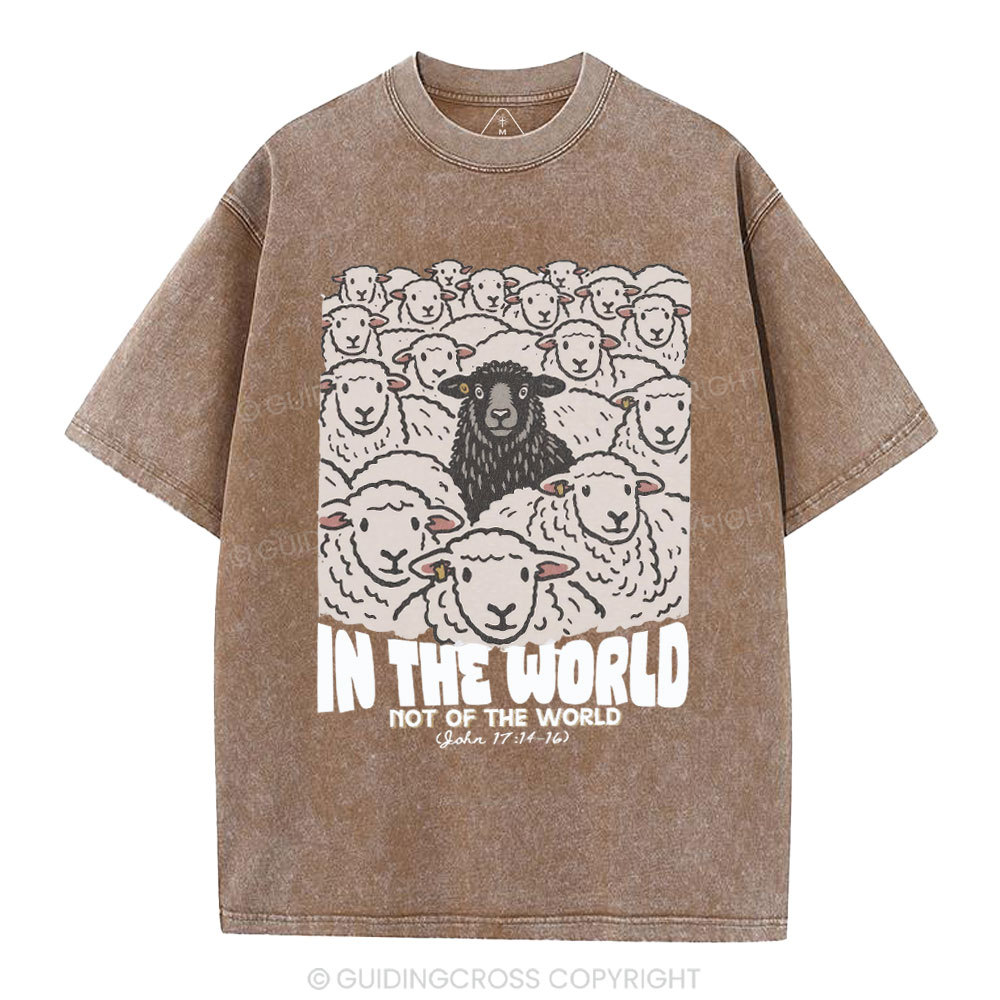 In The World Not Of The World Christian Washed T-Shirt