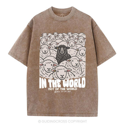 In The World Not Of The World Christian Washed T-Shirt