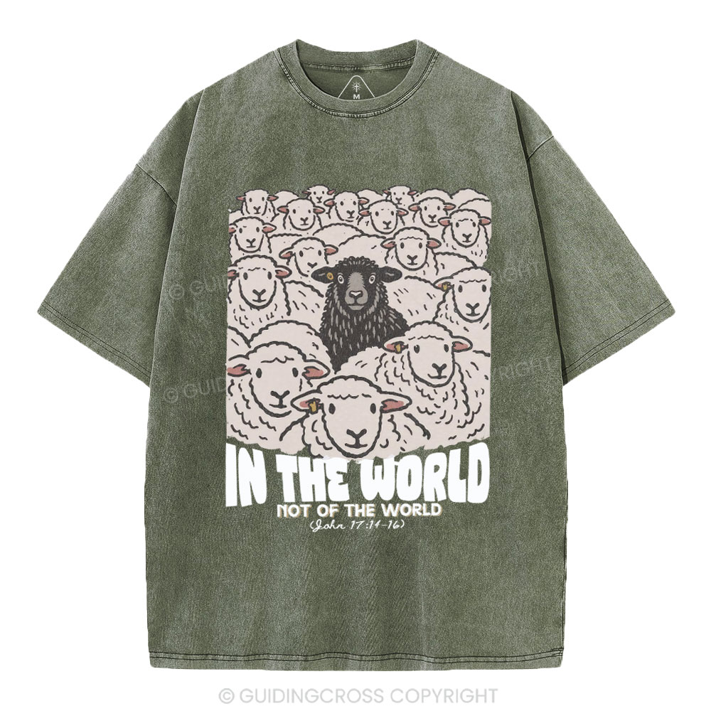 In The World Not Of The World Christian Washed T-Shirt