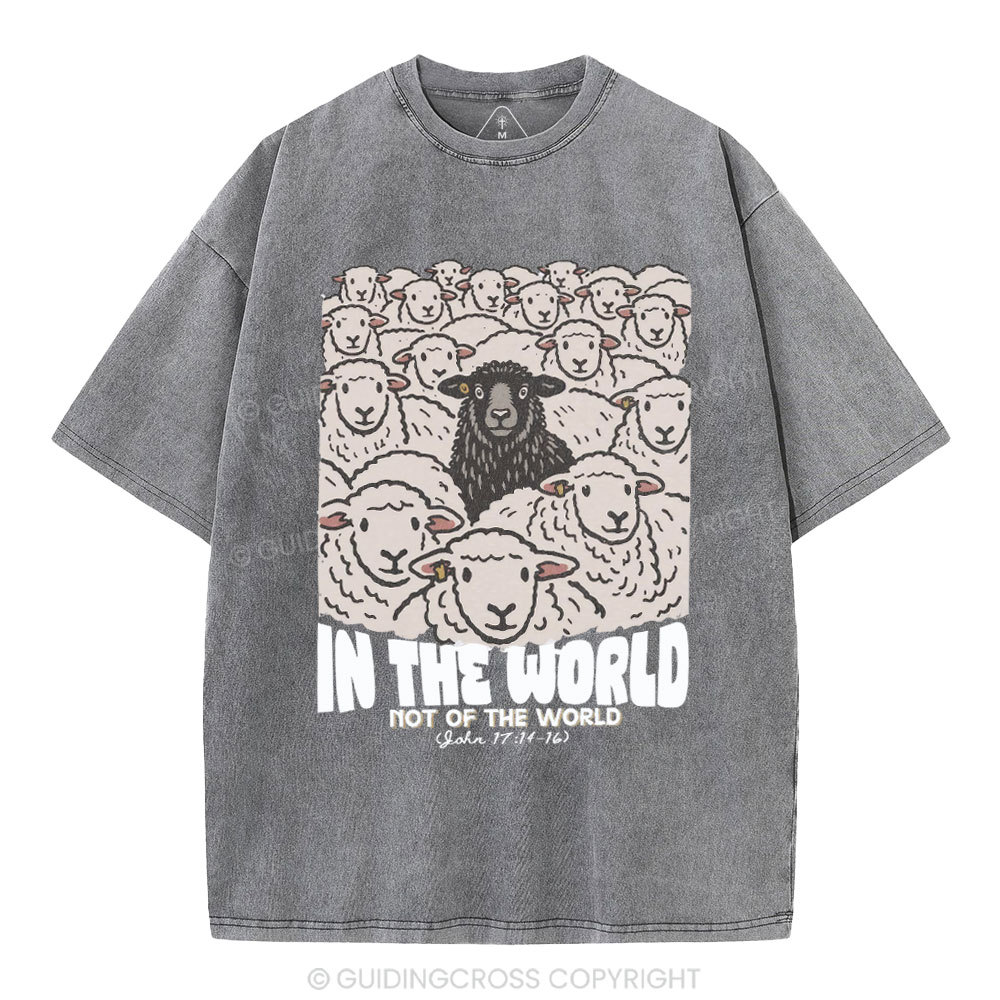 In The World Not Of The World Christian Washed T-Shirt