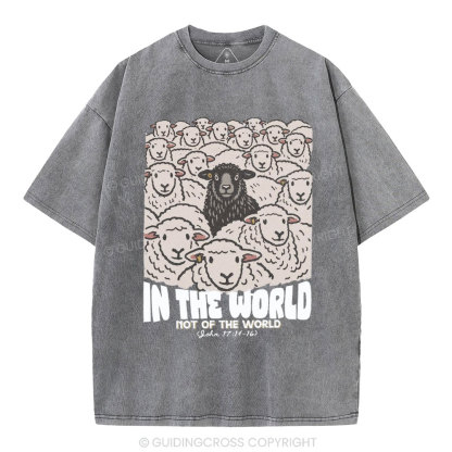 In The World Not Of The World Christian Washed T-Shirt