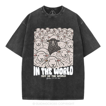 In The World Not Of The World Christian Washed T-Shirt