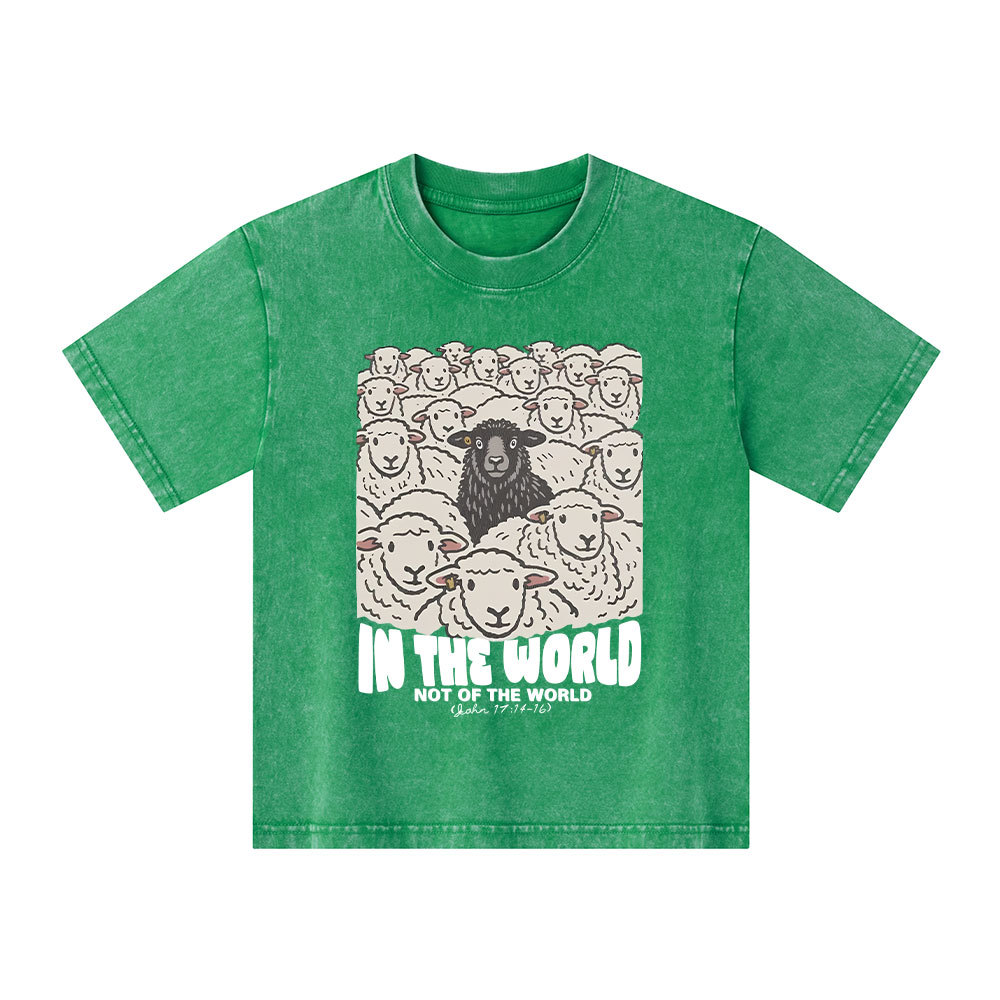 In The World Not Of The World Kid Washed T-Shirt