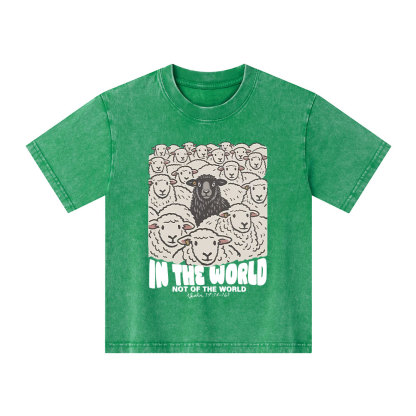 In The World Not Of The World Kid Washed T-Shirt