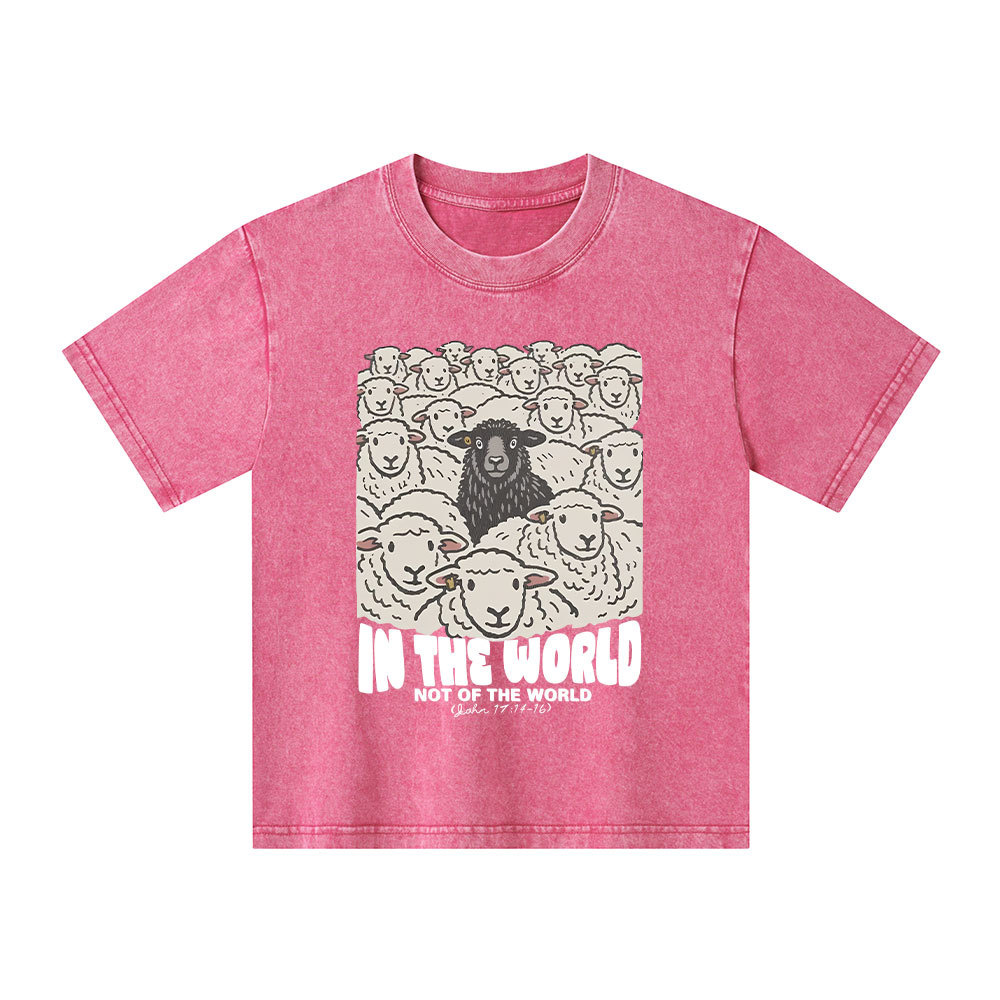 In The World Not Of The World Kid Washed T-Shirt