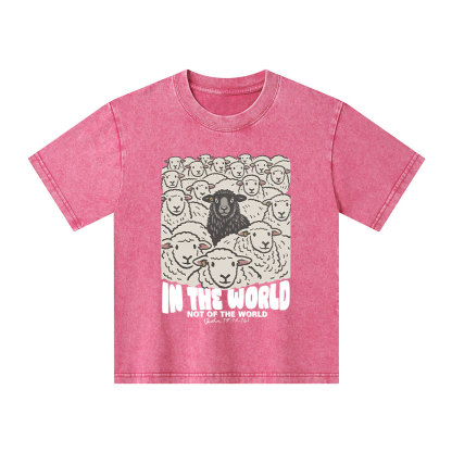 In The World Not Of The World Kid Washed T-Shirt