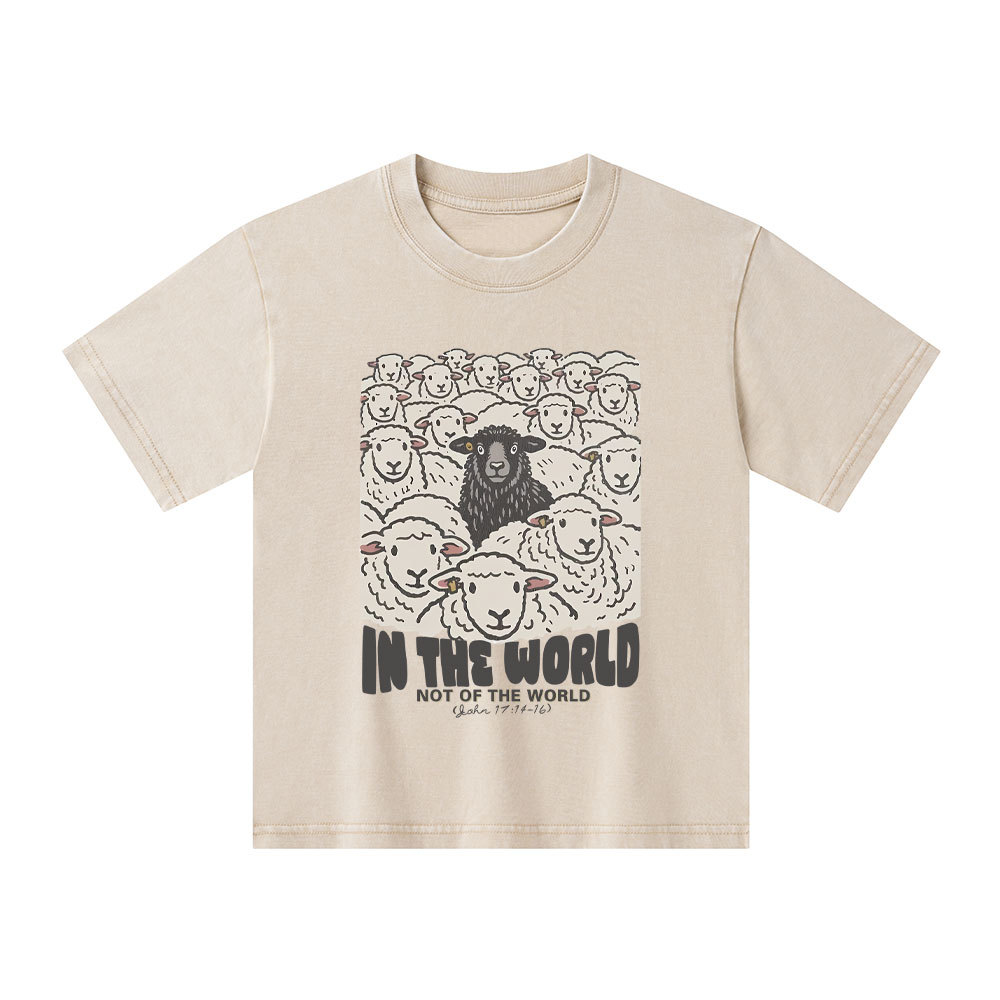 In The World Not Of The World Kid Washed T-Shirt