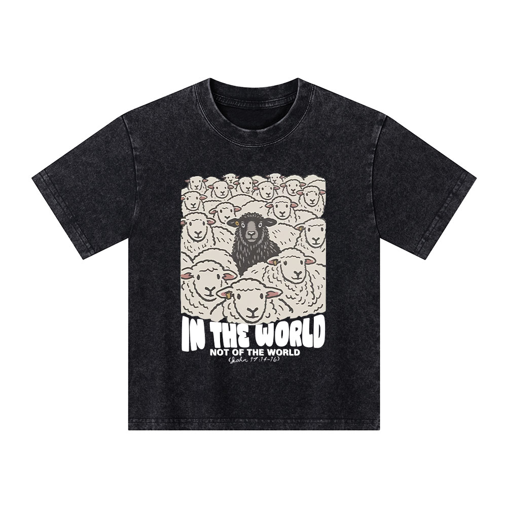 In The World Not Of The World Kid Washed T-Shirt