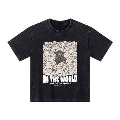 In The World Not Of The World Kid Washed T-Shirt