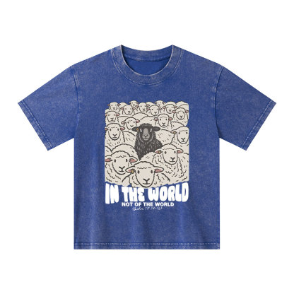In The World Not Of The World Kid Washed T-Shirt