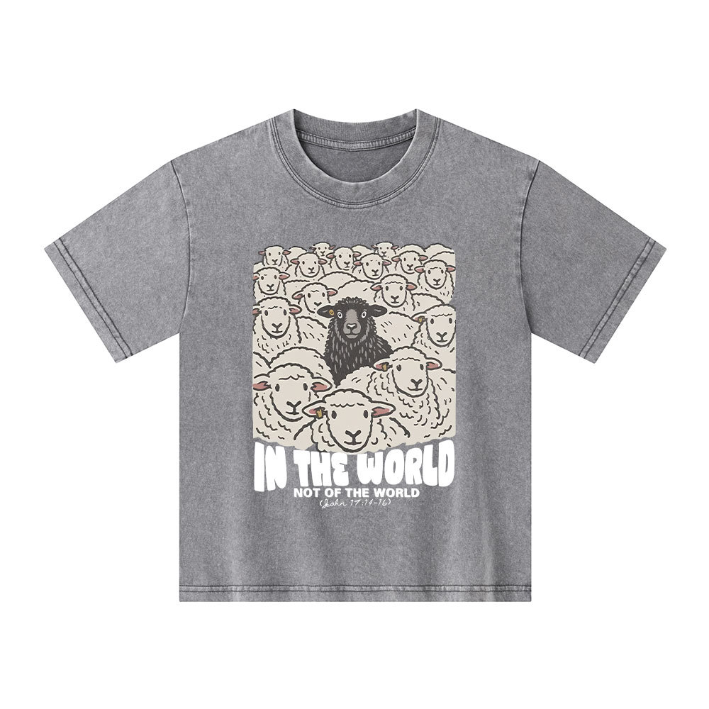 In The World Not Of The World Kid Washed T-Shirt