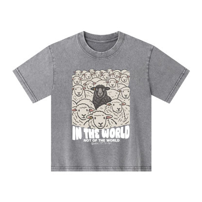 In The World Not Of The World Kid Washed T-Shirt