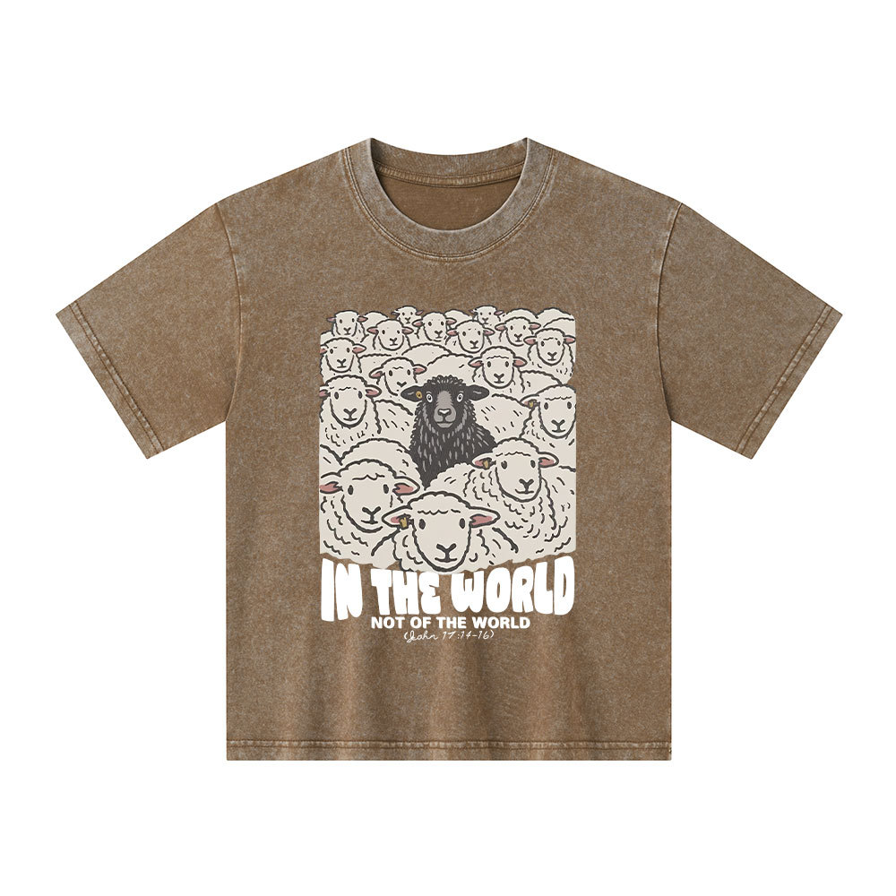 In The World Not Of The World Kid Washed T-Shirt