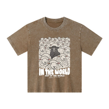 In The World Not Of The World Kid Washed T-Shirt