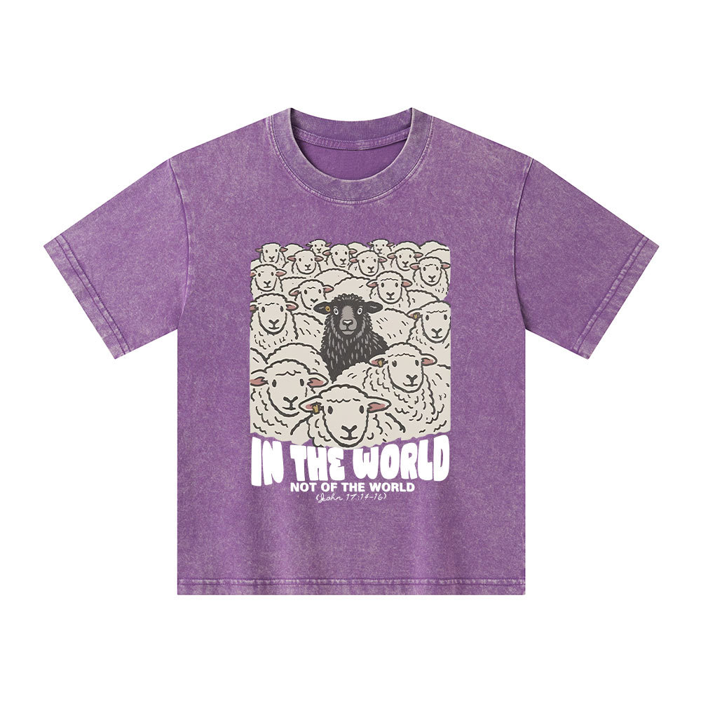 In The World Not Of The World Kid Washed T-Shirt