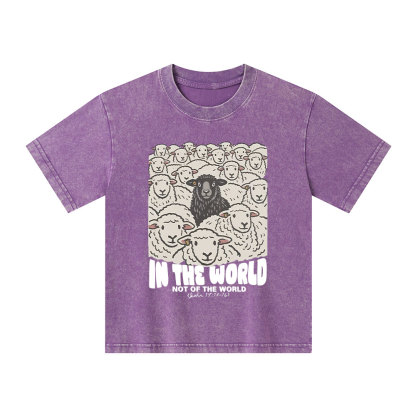 In The World Not Of The World Kid Washed T-Shirt