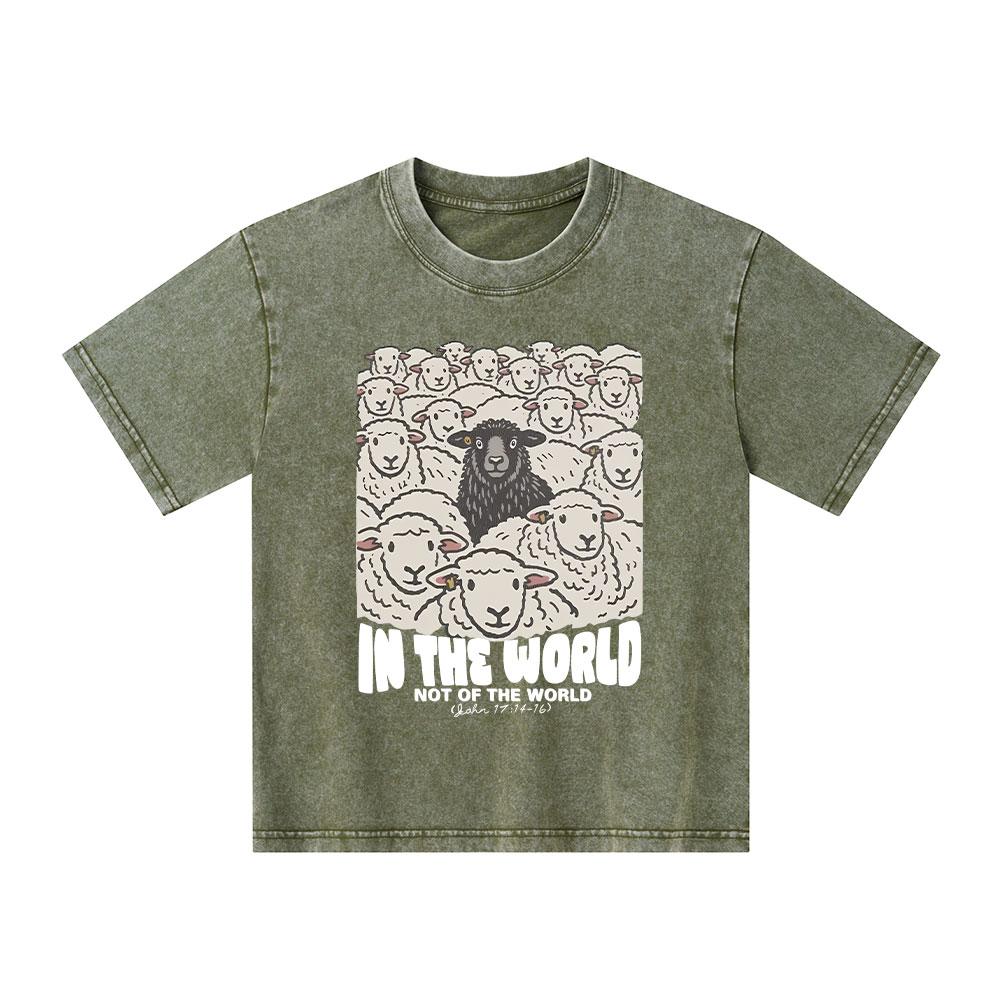 In The World Not Of The World Kid Washed T-Shirt
