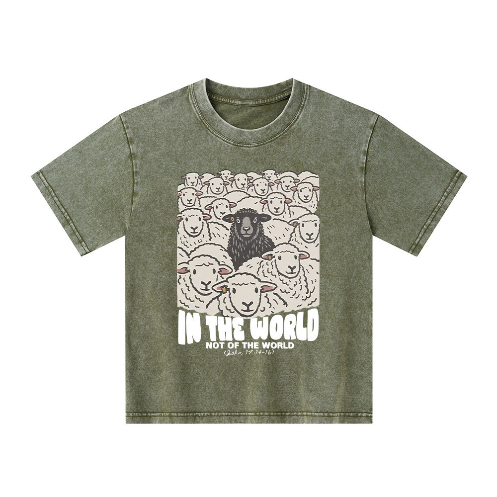 In The World Not Of The World Kid Washed T-Shirt