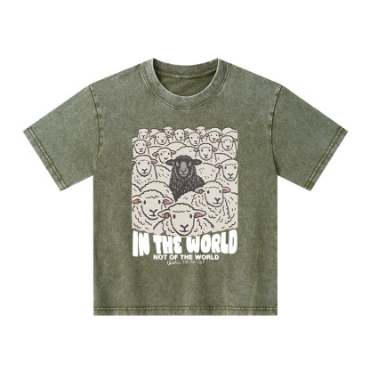 In The World Not Of The World Kid Washed T-Shirt