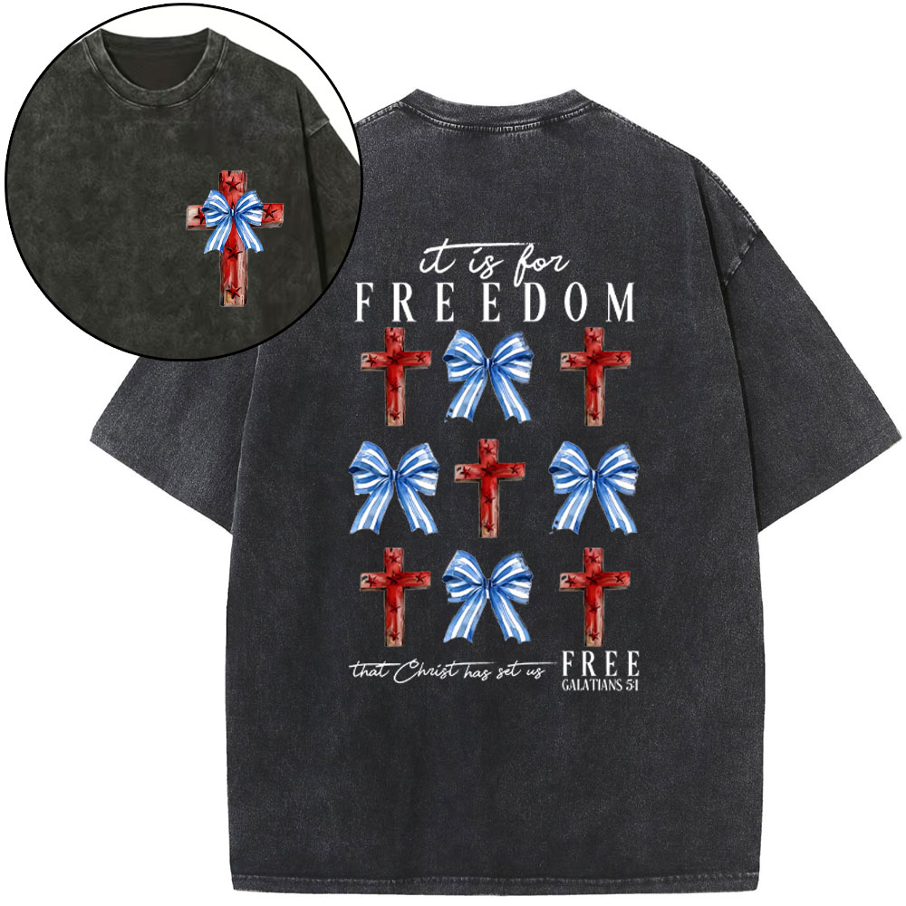 It Is For Freedom Christian Washed T-Shirt