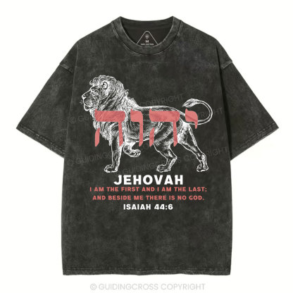 Jehovah King Lion Christian Washed T-Shirt