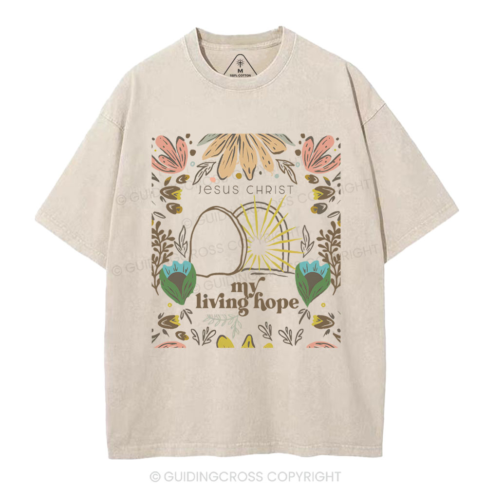 Jesus Christ My Living Hope Christian Washed T-Shirt