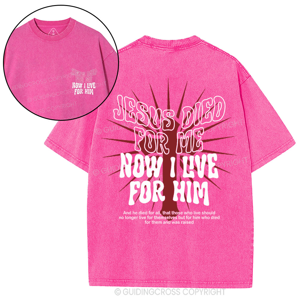 Jesus Died For Me Now I Live For Him Christian Washed T-Shirt