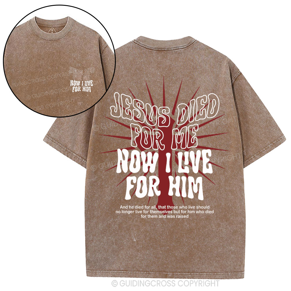 Jesus Died For Me Now I Live For Him Christian Washed T-Shirt