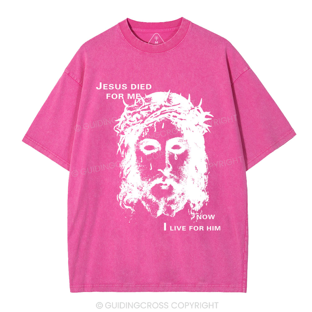 Jesus Died For Me Now I Live For Him Christian Washed T-Shirt